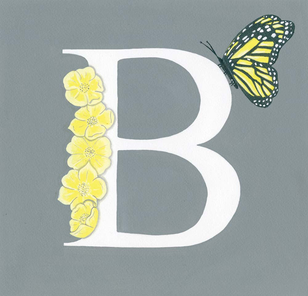 B is for Butterfly
